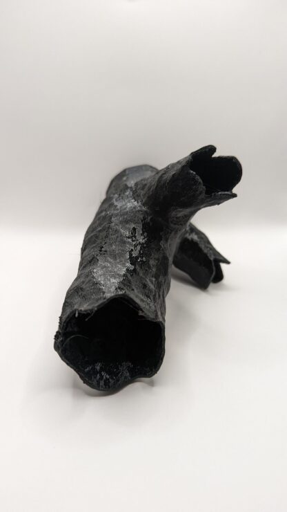 Hollow Log - Image 7