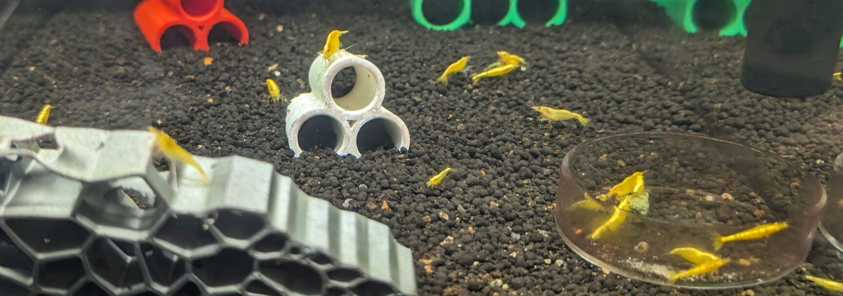 Stacked Shrimp Hideout – 3-Tube Shelter for Freshwater Aquariums - Image 16